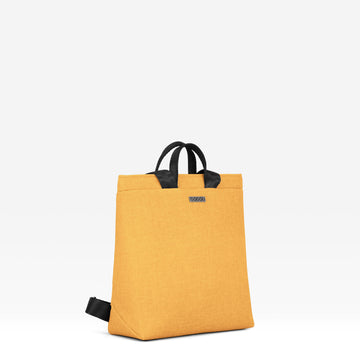 BOOGIE S - Smart Amber