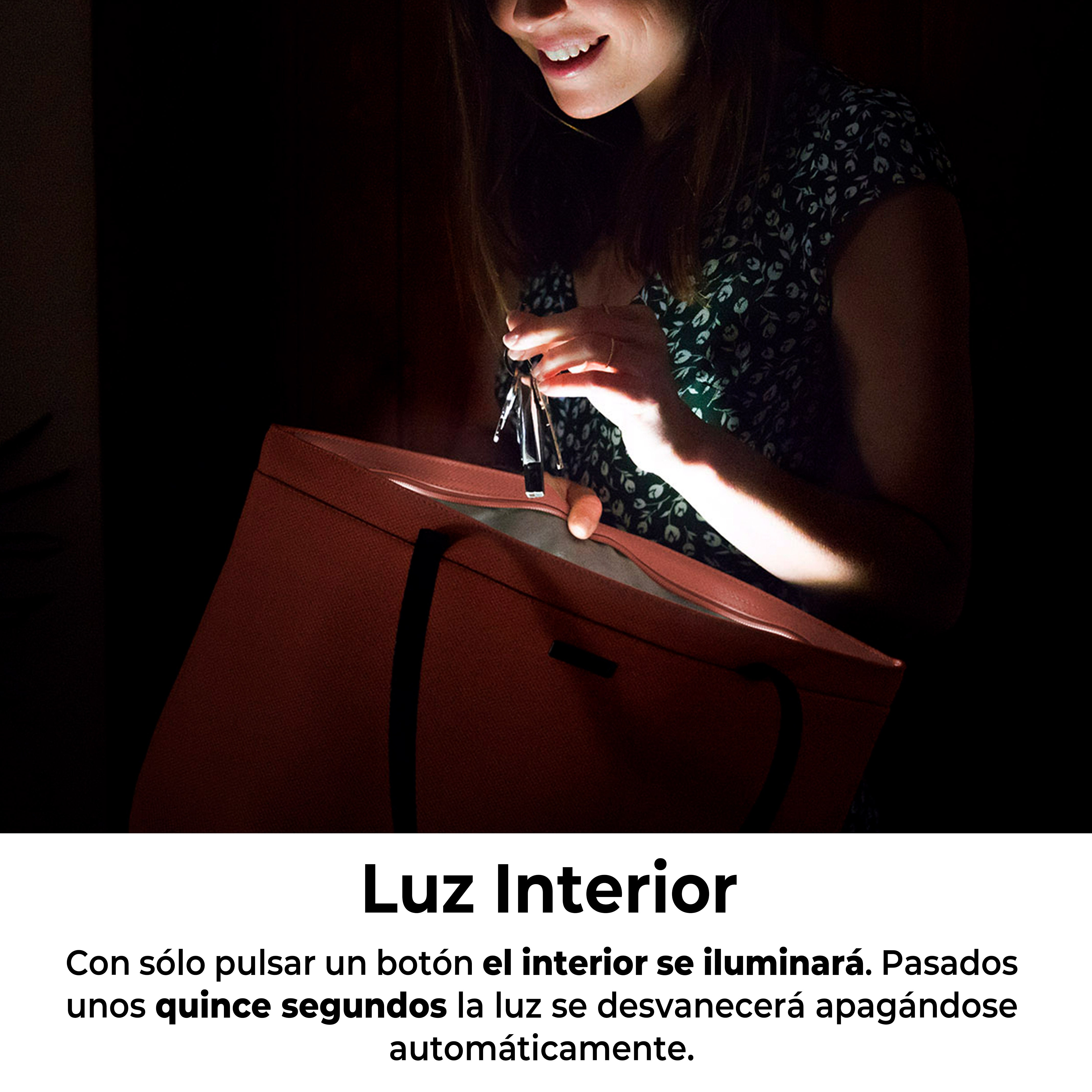 SWING L - Delta Army